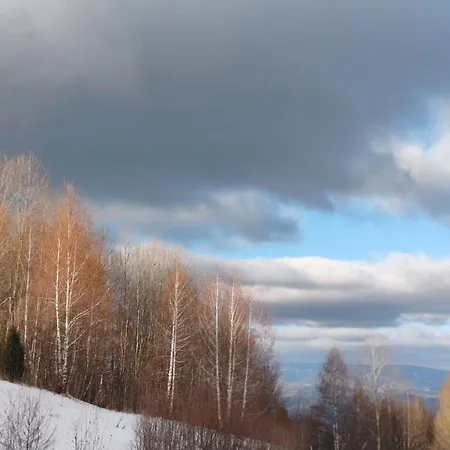 Mps Kopaonik-free * Kopaonik