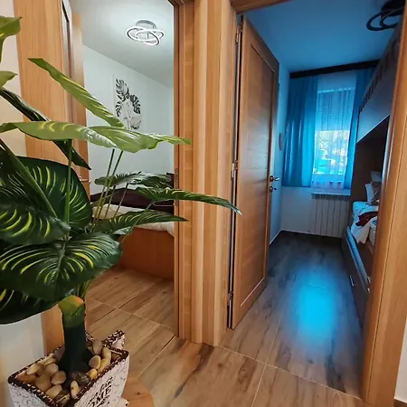 Apartment Mps Kopaonik-free